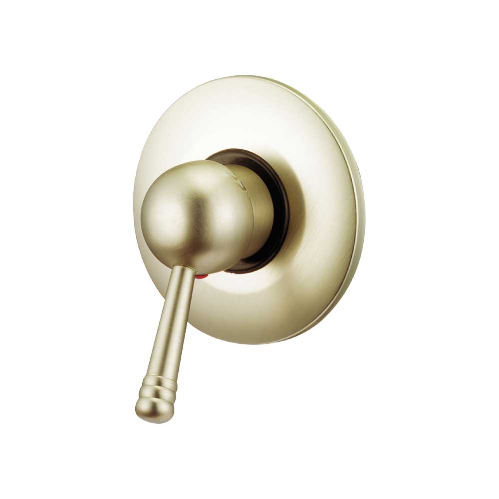 MISCELATORE DOCCIA INCASSO NEW OLD