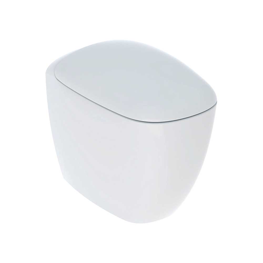 VASO FILO PARETE RIMFREE CITTERIO CON SEDILE
