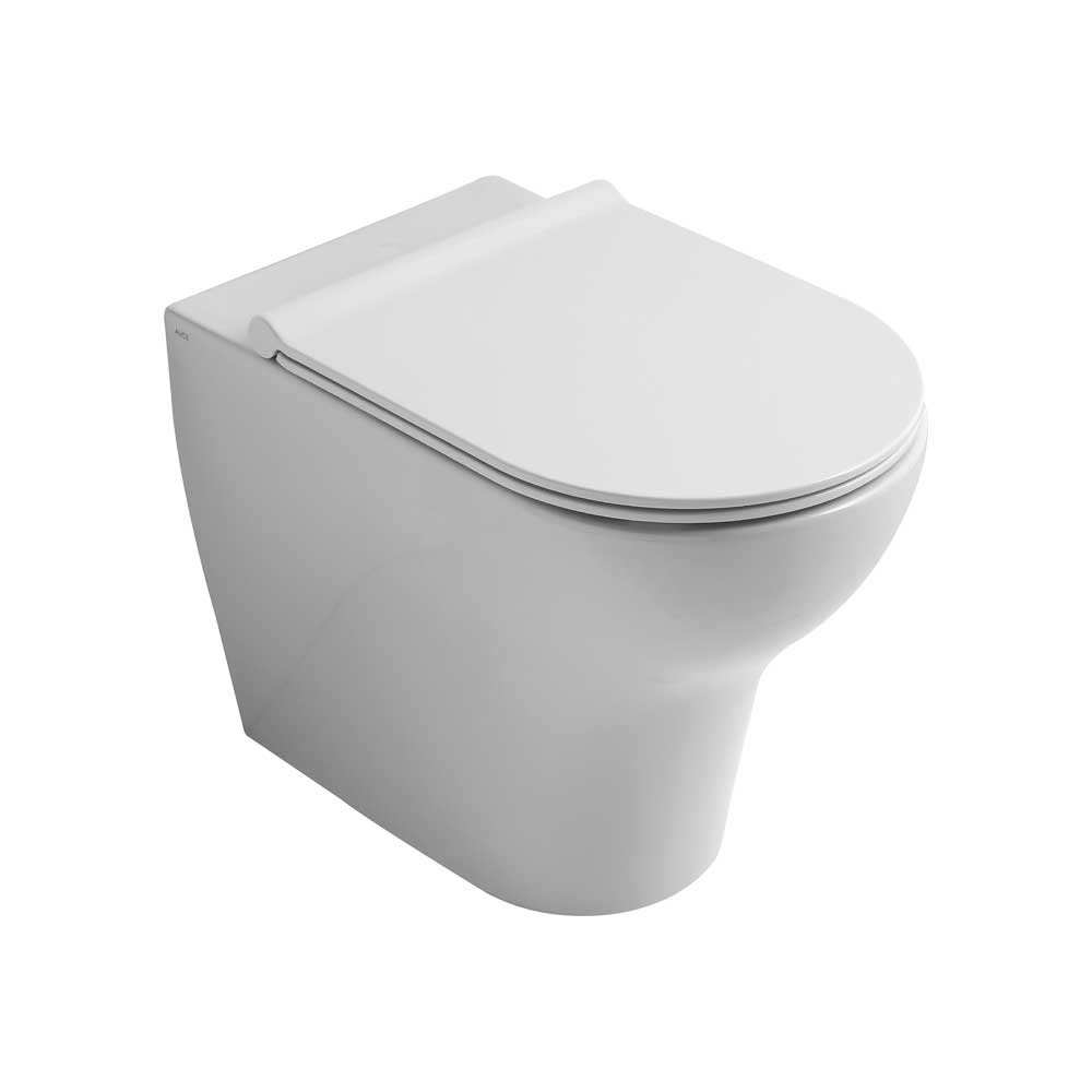 VASO FILO PARETE RIMFREE UNICA