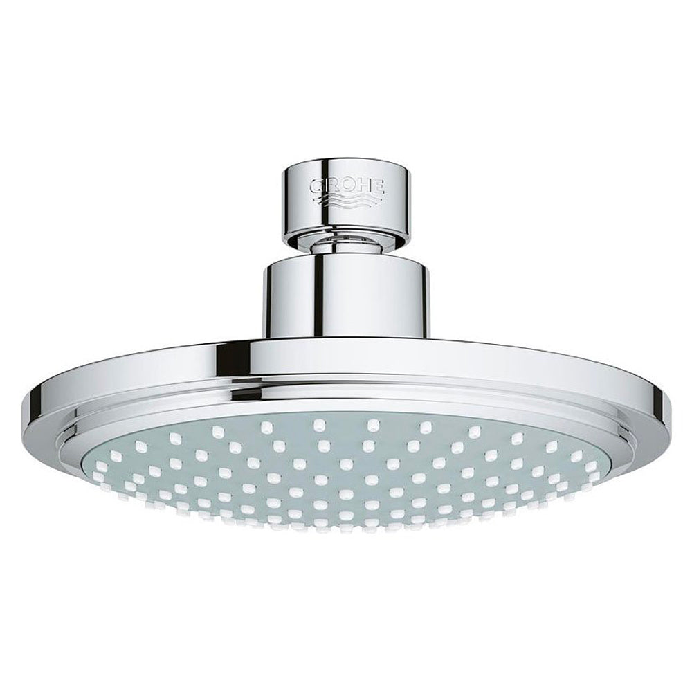 SOFFIONE DOCCIA MONOGETTO "EUPHORIA COSMOPOLITAN 160" - img 2