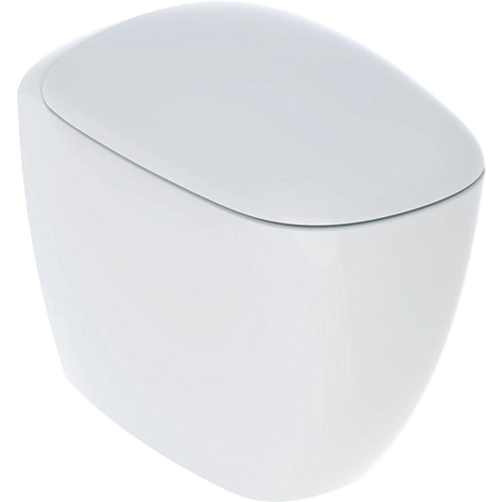 VASO FILO PARETE RIMFREE "CITTERIO" CON SEDILE - img 2