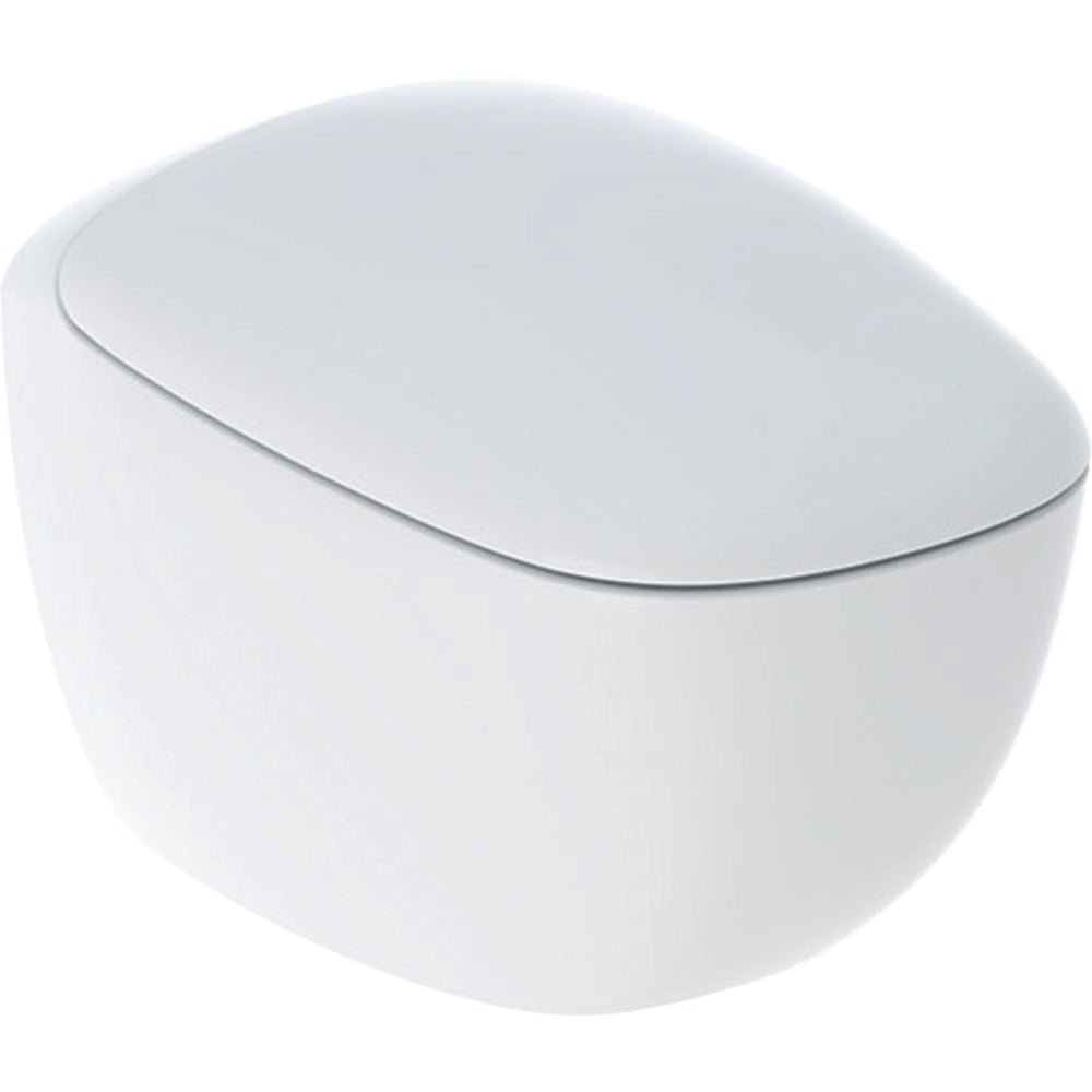 VASO SOSPESO RIMFREE "CITTERIO" CON SEDILE - img 2